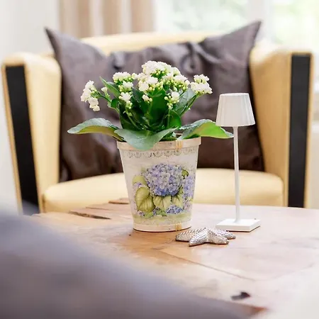 Pewsum In - Gemuetliche Fuer Bis Zu 2 Personen Direkt Am Hafen Mit Blick Auf Den Hafen - Haustiere Herzlich Willkommen *